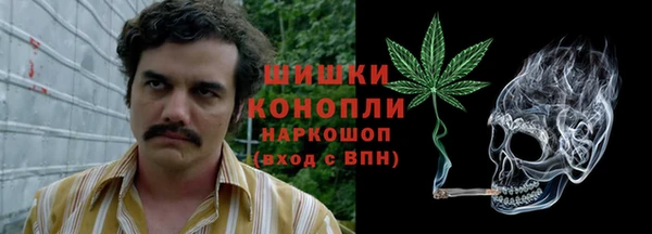 спиды Бронницы